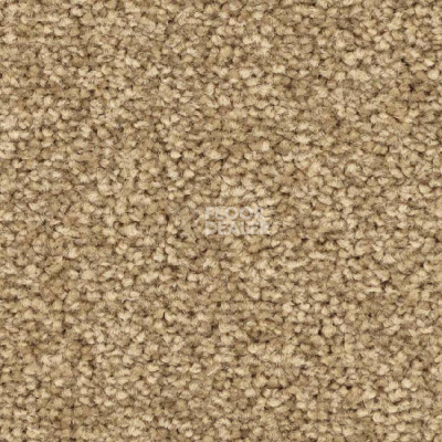 Ковролин Balsan First Class 640 фото 1 | FLOORDEALER