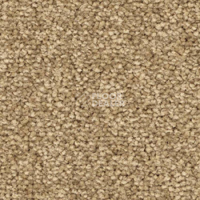 Ковролин Balsan First Class 640 фото 1 | FLOORDEALER
