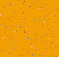 Линолеум Forbo Sphera Energetic 51210 vivid mandarin фото 1 | FLOORDEALER