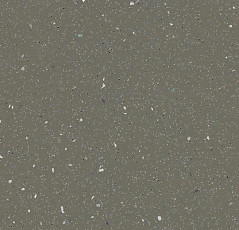 Линолеум Forbo SureStep Original 171872 earth фото 1 | FLOORDEALER