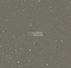 Линолеум Forbo SureStep Original 171872 earth фото 1 | FLOORDEALER