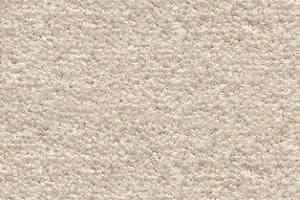 Ковролин AW Souplesse 30 фото  | FLOORDEALER