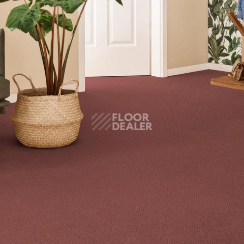 Vorwerk Superior 1071 Vorwerk 1n82 фото 2 | FLOORDEALER