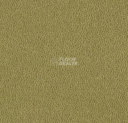 Ковровая плитка Westbond Ibond зеленая гамма 9594 фото 1 | FLOORDEALER