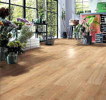 Kronotex Robusto 12мм d80892 Каштан Солсбери темный фото 5 | FLOORDEALER