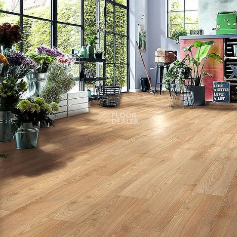 Kronotex Robusto 12мм d80892 Каштан Солсбери темный фото 5 | FLOORDEALER