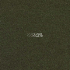 Ковролин Finett Feinwerk 603508 фото 1 | FLOORDEALER