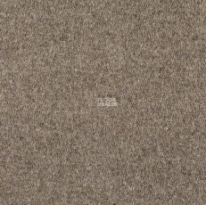 Best Wool Nature Vivaldi I-AB Fur фото 1 | FLOORDEALER