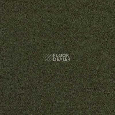 Ковролин Finett Feinwerk 603508 фото 1 | FLOORDEALER