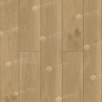 Alpine Floor Premium 12мм ECO24-4 Дуб Аврора фото 1 | FLOORDEALER