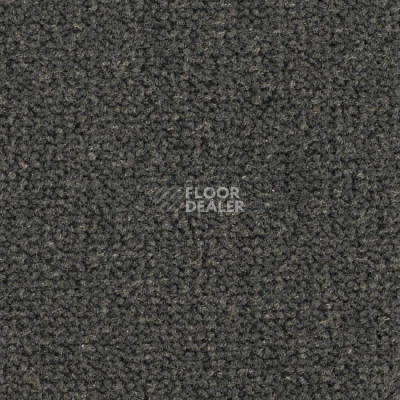 Ковролин Balsan Les Best 990 фото 1 | FLOORDEALER