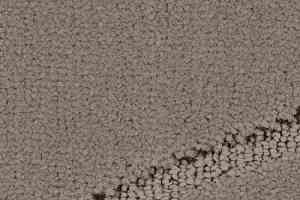 Ковролин Balsan Pavillon 730 фото  | FLOORDEALER