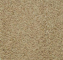 Ковролин Vorwerk Fabula 8e72 фото 1 | FLOORDEALER