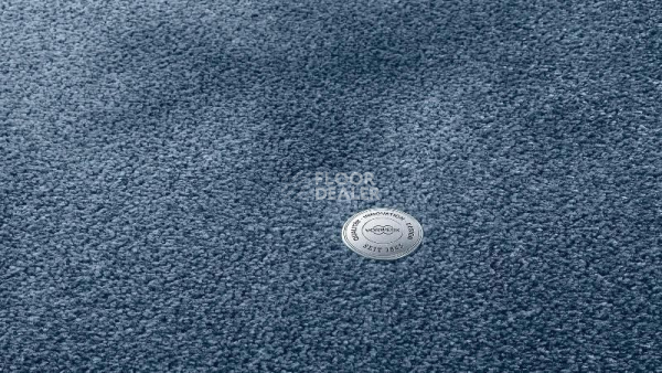 Ковролин Vorwerk Superior 1064/Lyrica Vorwerk 3q61 фото 1 | FLOORDEALER