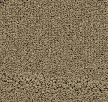 Ковролин Balsan Prado 630 фото 1 | FLOORDEALER