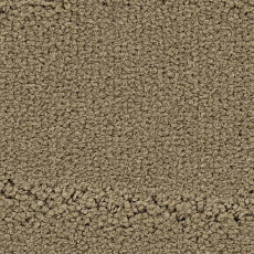 Ковролин Balsan Prado 630 фото 1 | FLOORDEALER