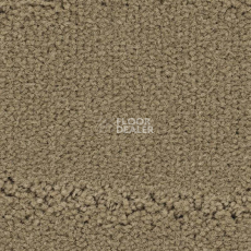 Ковролин Balsan Prado 630 фото 1 | FLOORDEALER