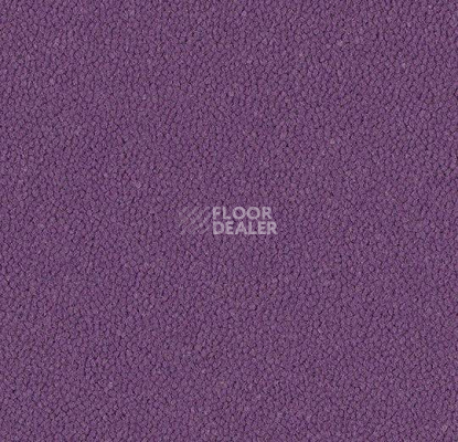 Ковровая плитка Westbond Ibond синяя гамма 9419 фото 1 | FLOORDEALER