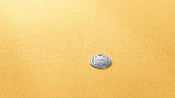 Ковролин Vorwerk Superior 1063 Vorwerk 2f46 фото 1 | FLOORDEALER