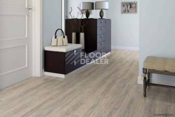 Wood замковое CORK OAK LEACHED фото 3 | FLOORDEALER