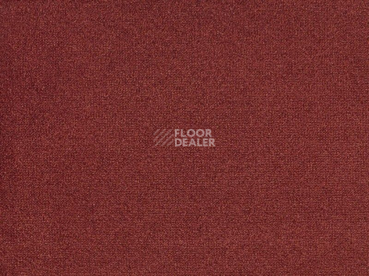 Ковролин Big Andorra 772 фото 1 | FLOORDEALER
