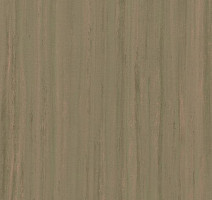 Forbo Marmoleum Неожиданная природа 3571 фото 1 | FLOORDEALER