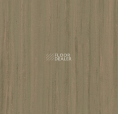 Линолеум Forbo Marmoleum Неожиданная природа 3571 фото 1 | FLOORDEALER