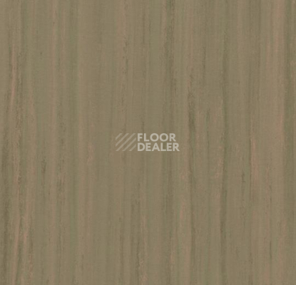 Линолеум Forbo Marmoleum Неожиданная природа 3571 фото 1 | FLOORDEALER