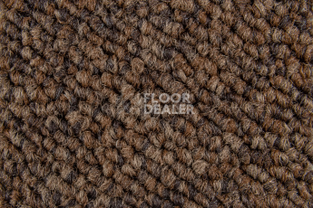 Balsan Season - Summer / Winter 785 фото 2 | FLOORDEALER