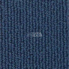 Ковролин Infloor Campus 365 фото 1 | FLOORDEALER