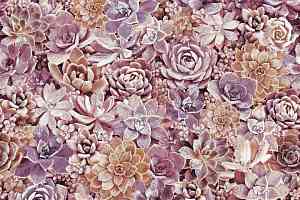 Ковролин Halbmond Pure Elements 13841 фото  | FLOORDEALER