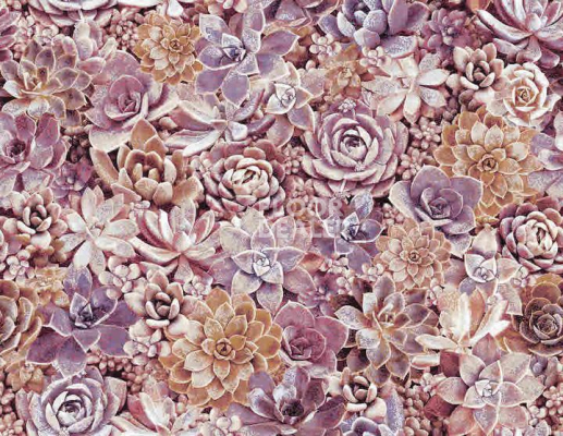 Ковролин Halbmond Pure Elements 13841 фото 1 | FLOORDEALER