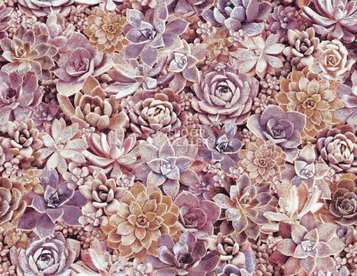 Ковролин Halbmond Pure Elements 13841 фото 1 | FLOORDEALER