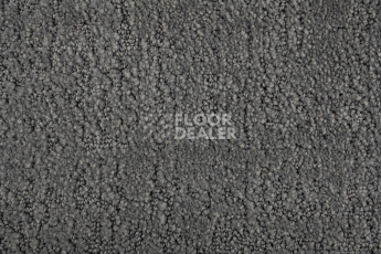 AW Tulle / Тюль 94 Silver фото 3 | FLOORDEALER