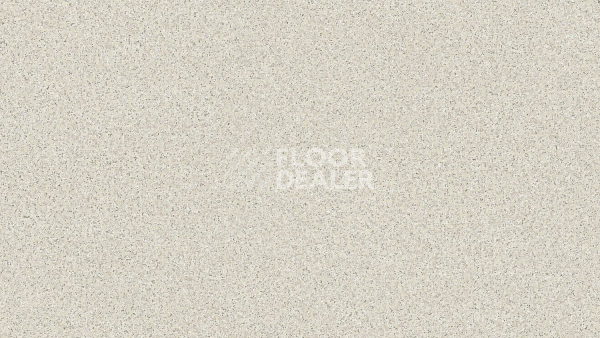 Линолеум Tarkett Craft Magnetic 1 фото 1 | FLOORDEALER