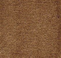 Ковролин AW Masquerade Fedone 48 фото 1 | FLOORDEALER