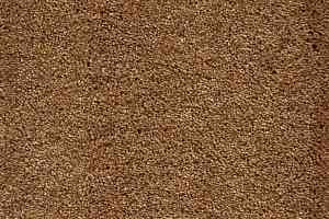 Ковролин AW Masquerade Fedone 48 фото  | FLOORDEALER