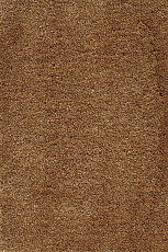 Ковролин AW Masquerade Fedone 48 фото 1 | FLOORDEALER