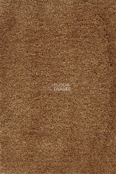 Ковролин AW Masquerade Fedone 48 фото 1 | FLOORDEALER