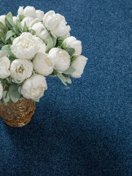 Haima Noble 58 фото 12 | FLOORDEALER