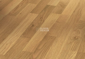 Ламинат Parador Basic Plus 200 1593733 Дуб Натуральный фото 1 | FLOORDEALER