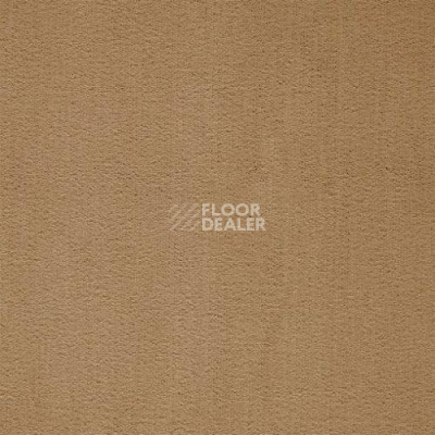 Ковролин Balta ITC Prominent 40 фото 1 | FLOORDEALER