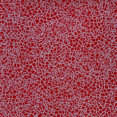 Линолеум Grabo Acoustic 7 Colour 388_674_275 фото 1 | FLOORDEALER