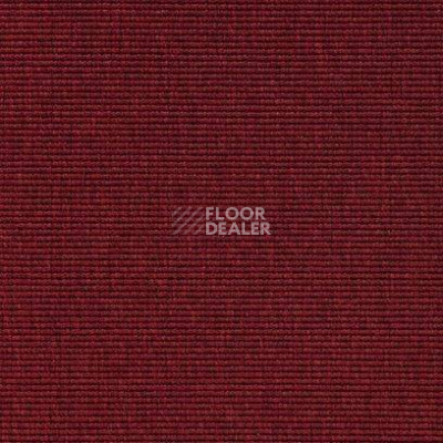 Ковролин Carpet Concept Eco 1 6627 фото 1 | FLOORDEALER