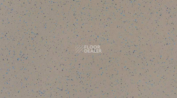 Кварцвиниловые полы Attraction Cleantech 600x600 INDIANA_8053_Anambas фото 1 | FLOORDEALER