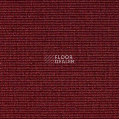Ковролин Carpet Concept Eco 1 6627 фото 1 | FLOORDEALER