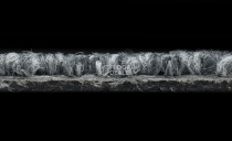 Tessera Chroma 3603 Asphalt фото 5 | FLOORDEALER