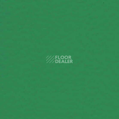 Линолеум Taraflex Badminton 7.5 6570 фото 1 | FLOORDEALER