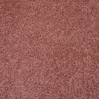 Ковролин Tarkett Capri Capri 27583 фото 1 | FLOORDEALER