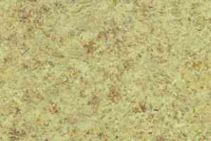 Линолеум Lg Supreme SPR9102-04 фото  | FLOORDEALER